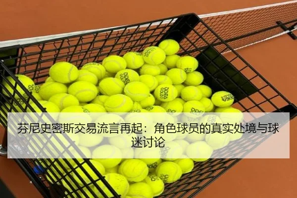 芬尼史密斯交易流言再起：角色球员的真实处境与球迷讨论